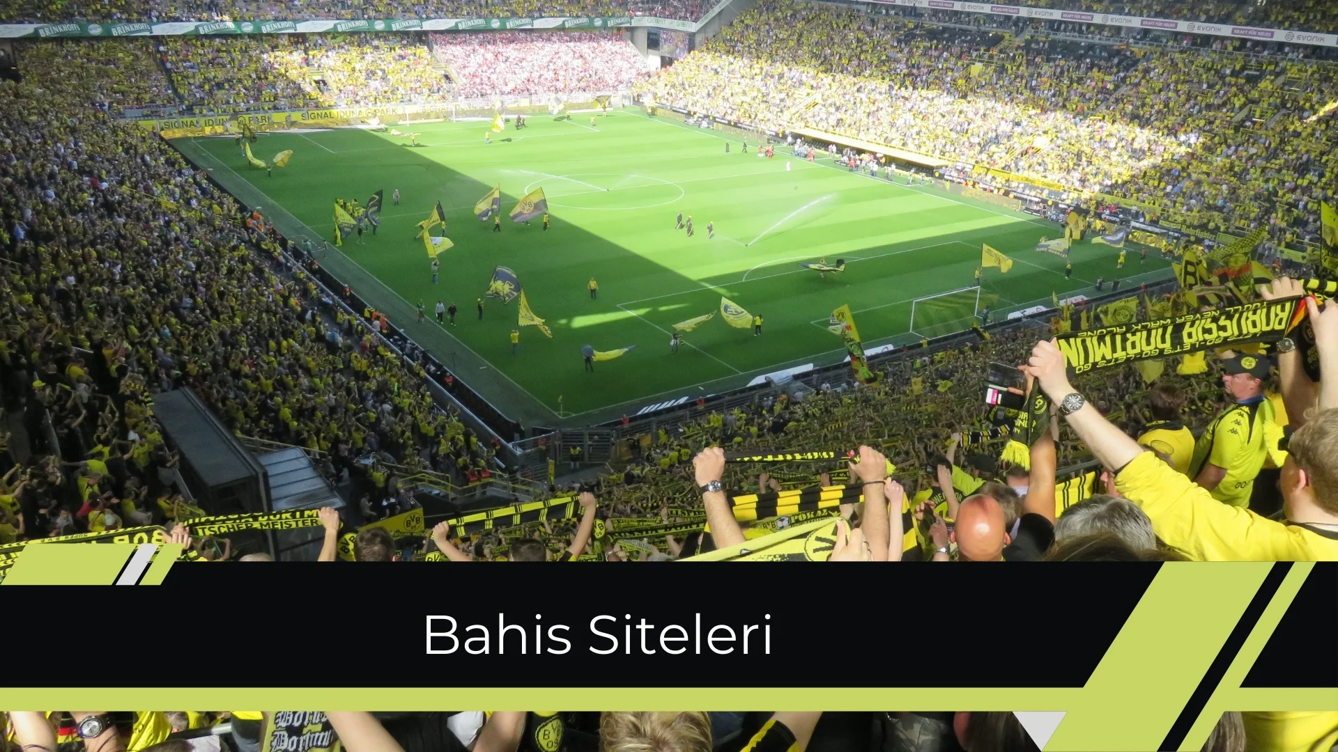 Bahis Siteleri